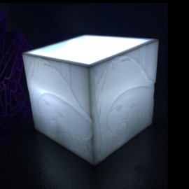 Cube photophore lithophanie 1 Photo